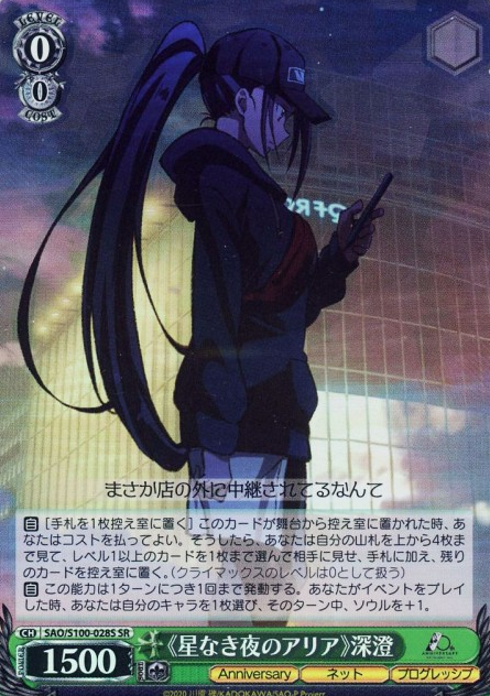 SAO/S100-028S SR Misumi