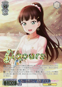 LSS-WE39-044FP Kurosawa Dia